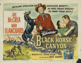 Buy Black Horse Canyon at AllPosters.com