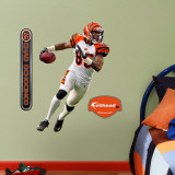 Buy Chad Ochocinco Fathead Junior at AllPosters.com
