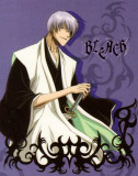 Bleach - Japanese Style Purple
