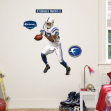 Buy Reggie Wayne Fathead Junior at AllPosters.com