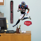 Andre Johnson Fathead Junior