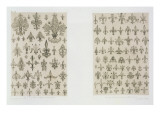 Fleur De Lys Designs from Every Age and from All around the World, from 'Art and Industry'