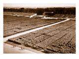 A United Front, from 'Germany: the Olympic Year', Pub. by Volk Und Reich Verlag Berlin, 1936