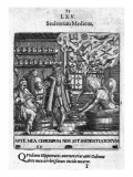 Buy Stultorum Medicus from 'Proscenium Vitae Humanae Sive Emblematum Secularium' at AllPosters.com
