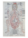 Buy The Anatomy of the Pregnant Woman, Illustration from 'Fasciculus Medicinae' by Johannes De Ketham at AllPosters.com