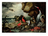 Buy A Penguin, a Pair of Flamingoes, and Other Exotic Birds, Shells, and Coral on the Shoreline at AllPosters.com