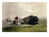 The Buffalo Chase 'singling Out', Pub. by Currier and Ives