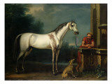 Buy Lord Oxford's "Bloody-Shouldered Arabian" Held by a Groom in Arabian Dress at AllPosters.com