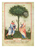 Nouv Acq Lat 1673 Fol.18 Harvesting Lemons, from 'Tacuinum Sanitatis', C.1390-1400
