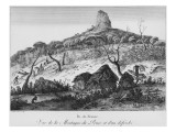 Buy View of Pouce Mountain and Forest Clearing, Mauritius at AllPosters.com