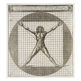 Buy Ideal Proportions Revealed to Be Based on the Human Body at AllPosters.com