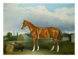 Buy A Chestnut Hunter and a Spaniel by Farm Buildings at AllPosters.com