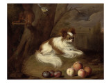 A Spaniel by a Tree with a Squirrel and a Blue-Tit