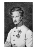 Buy Napoleon Ii, Francois Charles Joseph Bonaparte at AllPosters.com