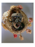 Buy Costume Mask for the Celebration of the Mexican Annual Festival of Guelaguetza at AllPosters.com