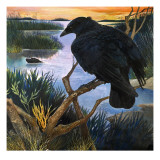 The Crow, Illustration from 'The Black Shadow', by F. St Mars, 1966 Giclee Print