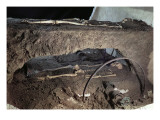 Tomb of a Gaulish Chief Buried with His Chariot and His Chariot Driver