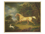Buy A Palomino Frightened by an Approaching Storm with a Spaniel at AllPosters.com