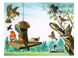 All Sorts of Birds around the Garden Table, Illustration from 'Once Upon a Time', 1971