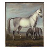 Buy A Grey Mare and a Foal in an Extensive Hilly Landscape at AllPosters.com