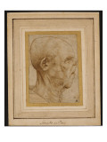 Caricature of the Head of an Old Man, in Profile to the Right, C.1507