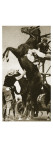 The Jockey Herbert Loses Control of His Horse at the Start of a Race in New York
