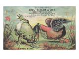 A Fowl Blow