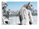 Buy Gargoyles, from the Galerie Des Chimieres, 14th Century at AllPosters.com