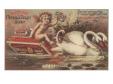 Advertisement for Buchan;S Carbolic Toilet Soap, C.1880