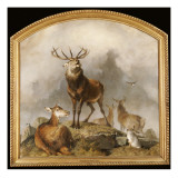 Buy Scene in Braemar - Highland Deer at AllPosters.com