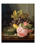 Still Life, Roses, Fruit and Bird's Nest