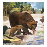Yogi Bear's Real-Life Relatives, 1964 Giclee Print