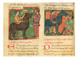 Buy Ms 214 Fol.26V Curing Glossitis in a Horse at AllPosters.com