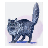 Buy Persian Cat, from 'Treasure', 1966 at AllPosters.com