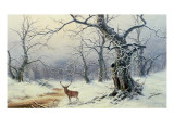 Buy A Stag in a Wooded Landscape at AllPosters.com