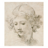 Head of an Angel, Looking Down to the Left