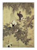 Eight Red-Crested Herons in a Pine Tree, 1754