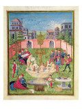 Ms. 'De Sphaera' Fol.11R the Fountain of Youth, 1470