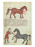 Buy Ms Grec 2244 Fol.4 Operating on a Horse at AllPosters.com
