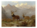Buy Stags and Hinds in a Highland Landscape, 1864 at AllPosters.com