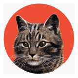 Buy Tabby Cat, from 'Treasure', 1966 at AllPosters.com