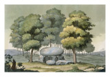Buy A Dolmen-Type Passage Grave of the Gauls at AllPosters.com