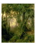 Buy A Hunter in the Cuban Jungle, Sunrise, 1869 at AllPosters.com