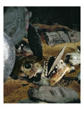 Buy Skull with Flint Knives Stuck in the Mouth and Nose at AllPosters.com