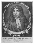 Buy Portrait of Anton Van Leeuwenhoek at AllPosters.com