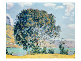 Buy A View of Lake Brienz from Bodeli at AllPosters.com