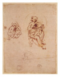 Study for the Virgin and Child, C.1478-1480