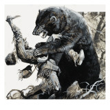 Hugh Glass Being Savaged by a Bear, 1978