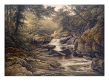 Rhiadr Ddu, Near Maentwrog, North Wales