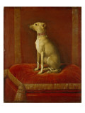 Buy One of Frederick Ii's Italian Greyhounds at AllPosters.com